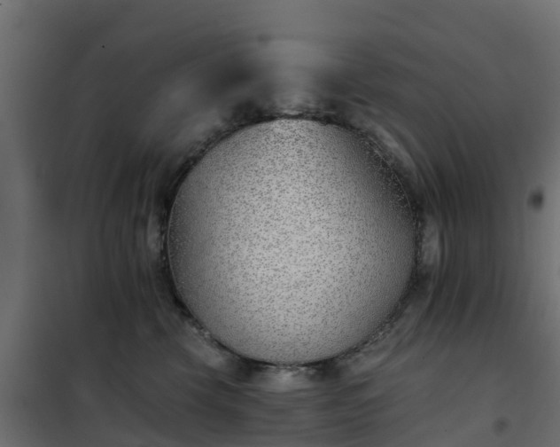 X0000102350569200808081157