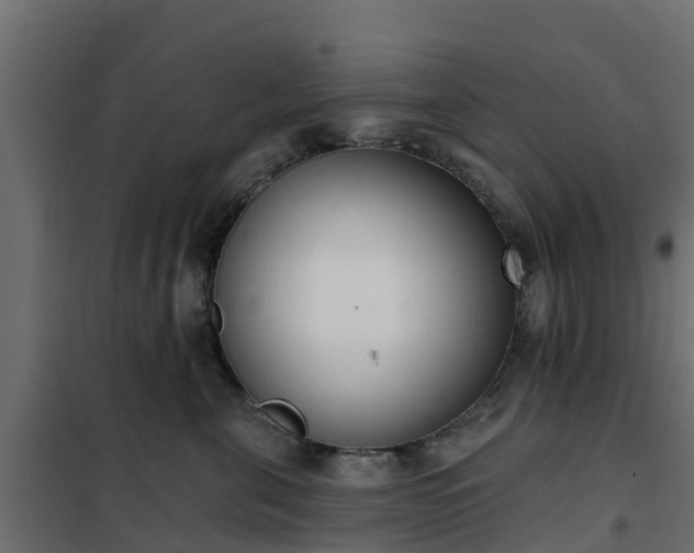 X0000102350571200808081157