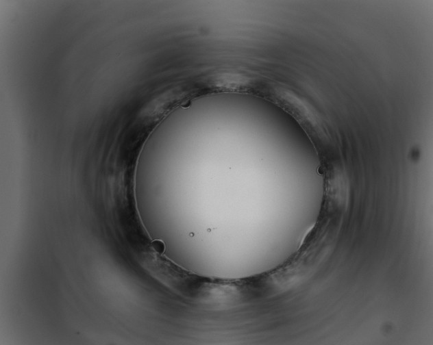 X0000102350572200808081157