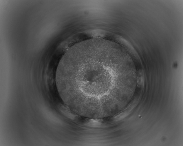 X0000102350573200808081157