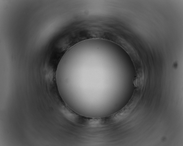 X0000102350574200808081157