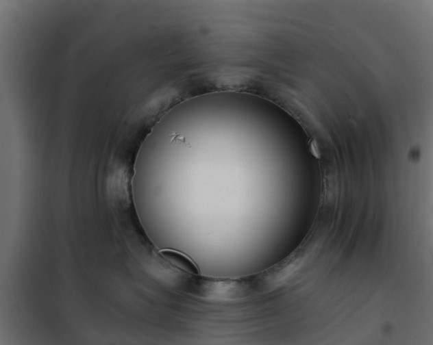 X0000102350575200808081157