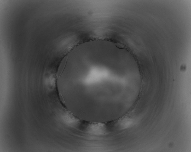 X0000102350576200808081157