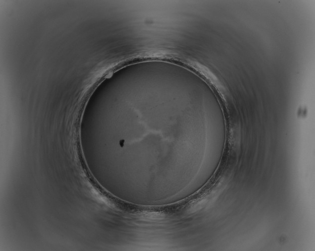 X0000102350577200808081156