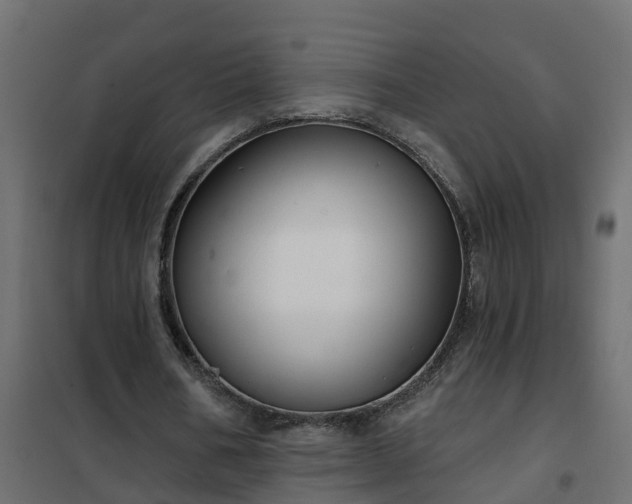 X0000102350578200808081156