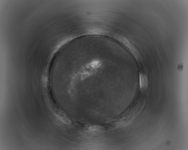 X0000102350579200808081156