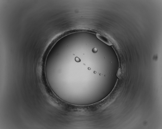 X0000102350580200808081156