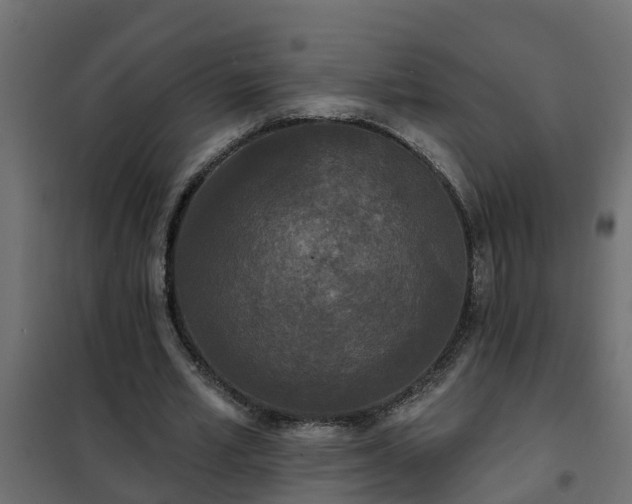 X0000102350581200808081156