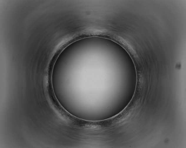 X0000102350582200808081156