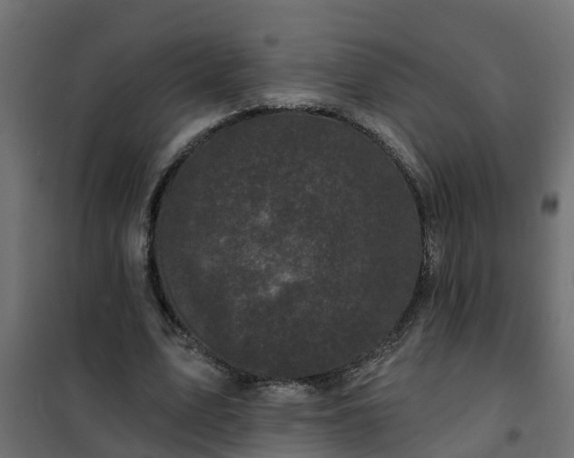 X0000102350583200808081156