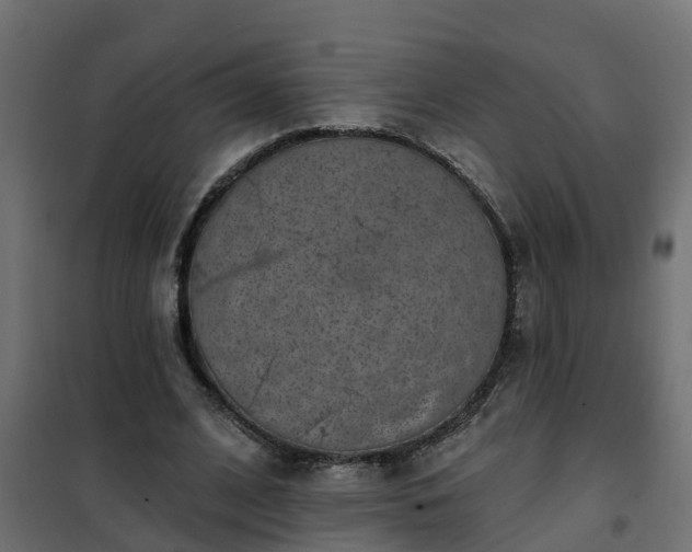 X0000102350584200808081156