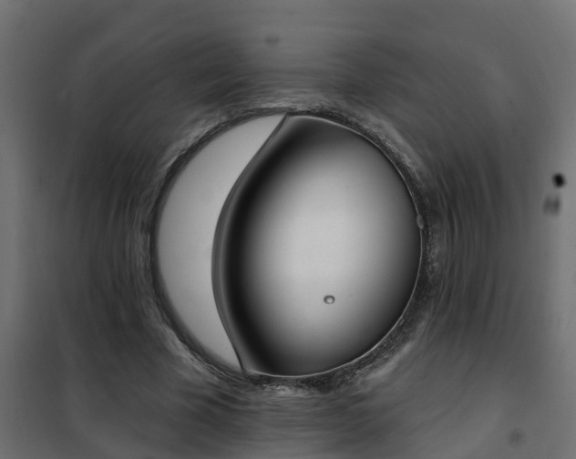 X0000102350585200808081156