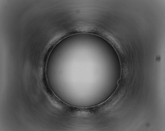 X0000102350586200808081156