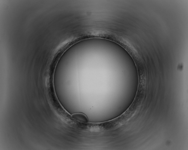 X0000102350587200808081156