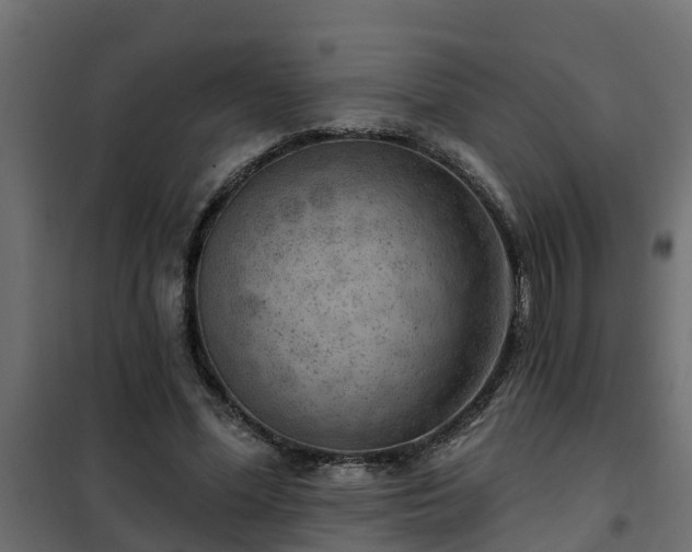 X0000102350588200808081156