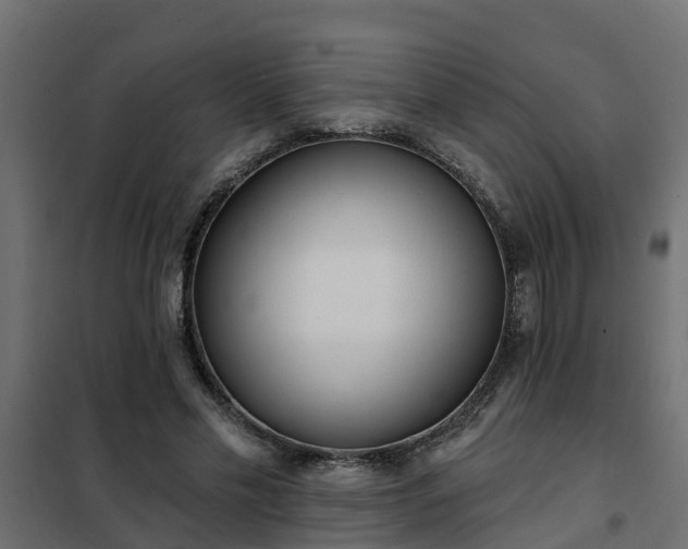 X0000102350589200808081156