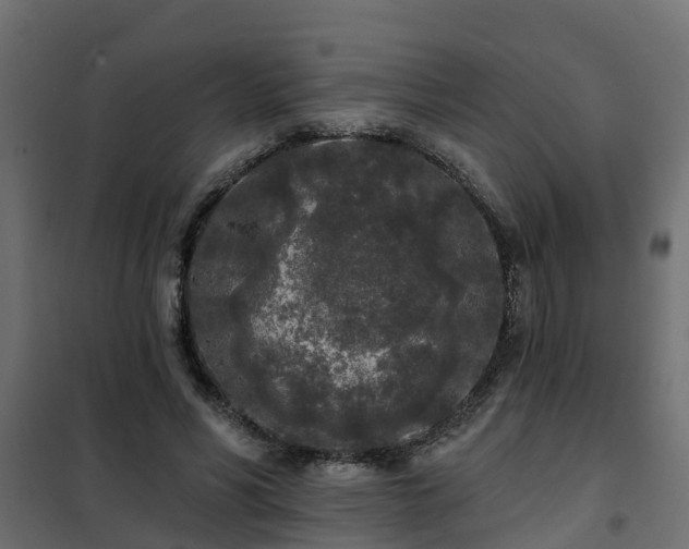 X0000102350590200808081156