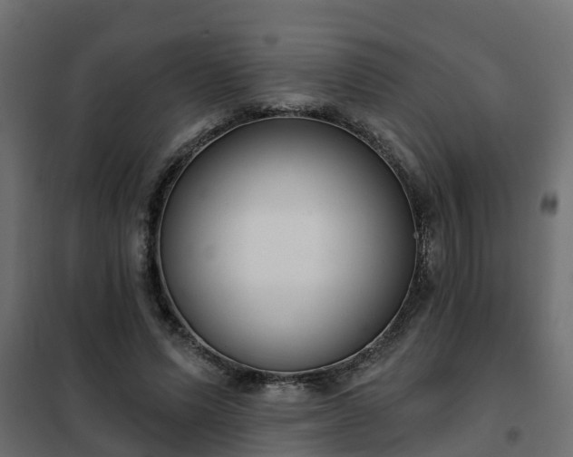 X0000102350591200808081156