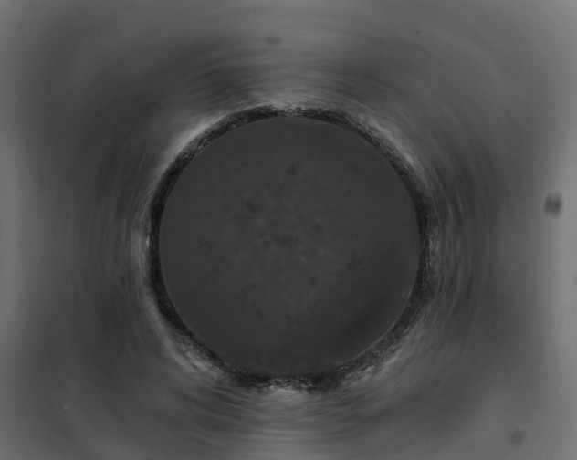 X0000102350592200808081156