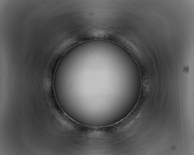 X0000102350593200808081156