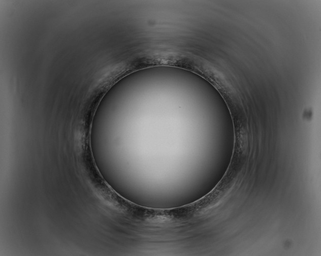 X0000102350594200808081156