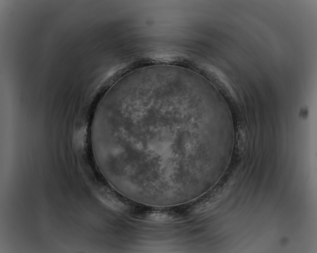 X0000102350596200808081156