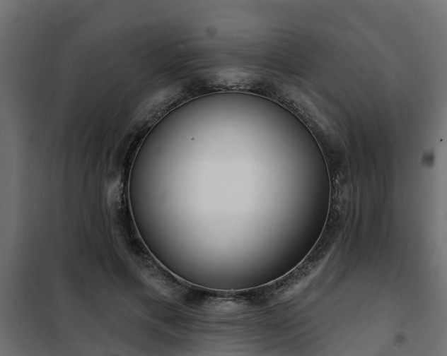 X0000102350597200808081156