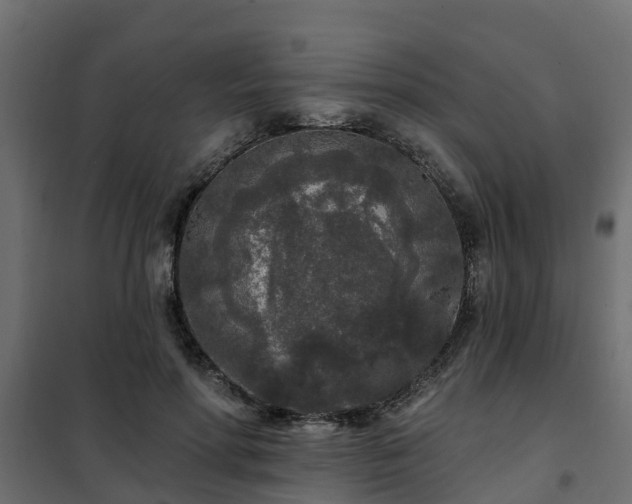 X0000102350598200808081156