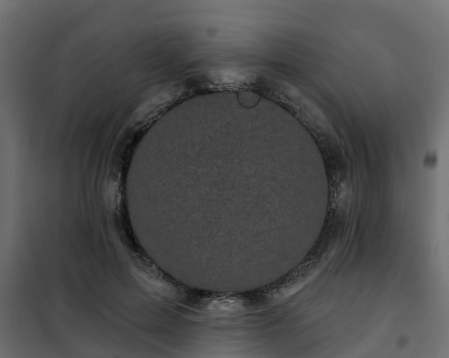 X0000102350599200808081156