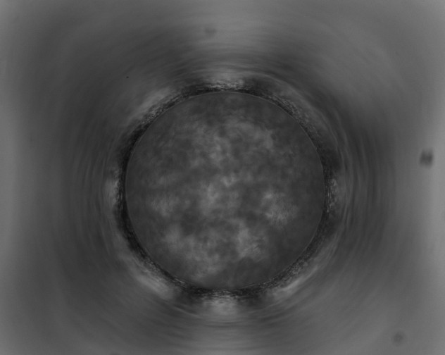 X0000102350600200808081156