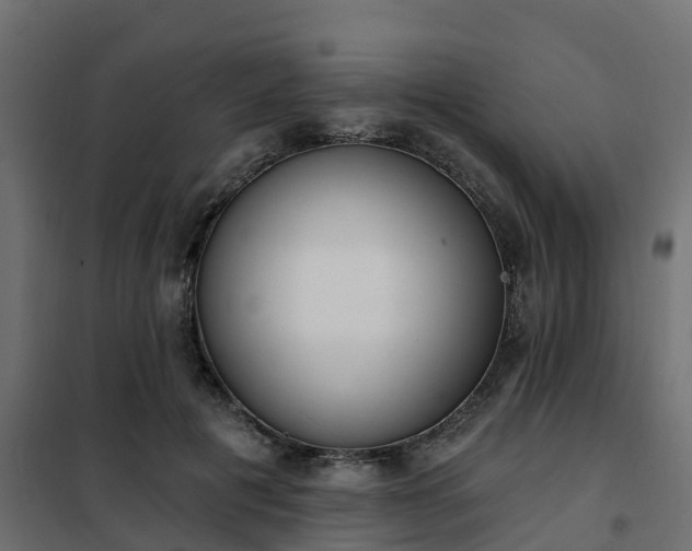 X0000102350601200808081156