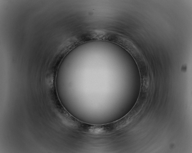 X0000102350602200808081156