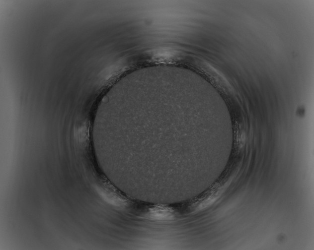 X0000102350603200808081156