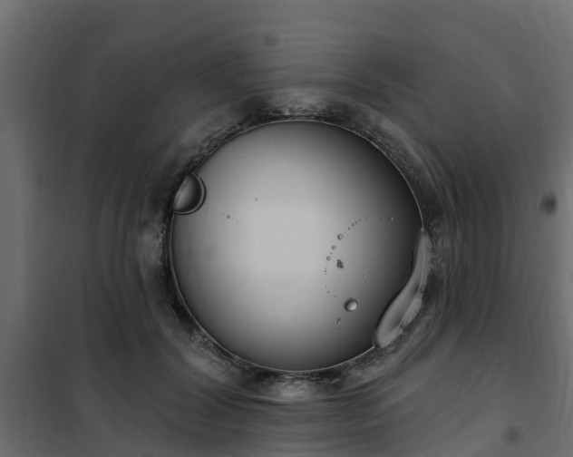 X0000102350604200808081156