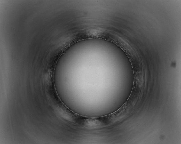 X0000102350605200808081156