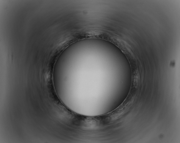 X0000102350608200808081156