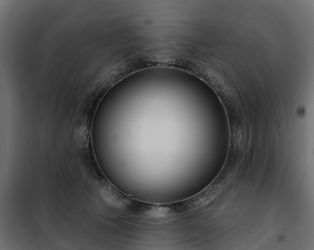 X0000102350609200808081156