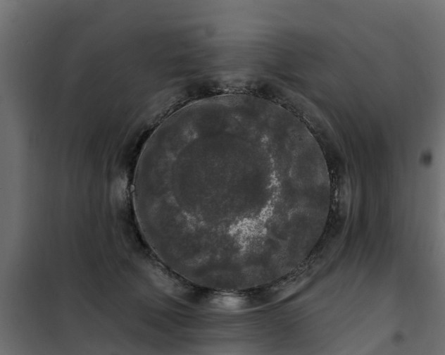 X0000102350610200808081156