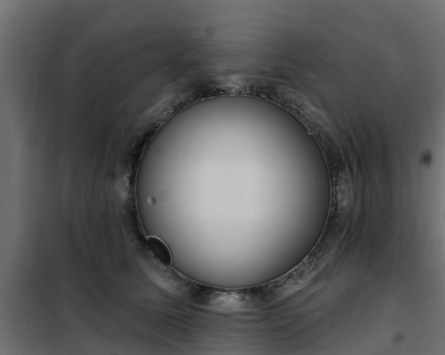 X0000102350611200808081156