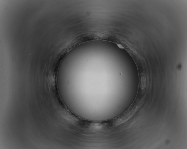 X0000102350613200808081156