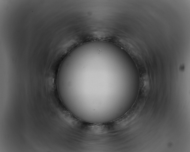 X0000102350615200808081156