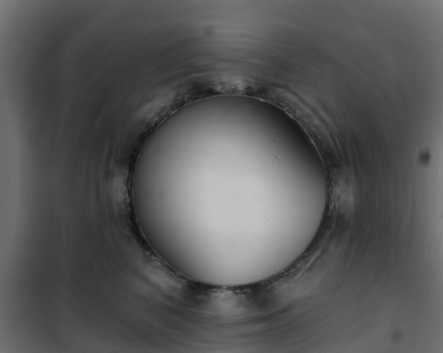 X0000102350616200808081156