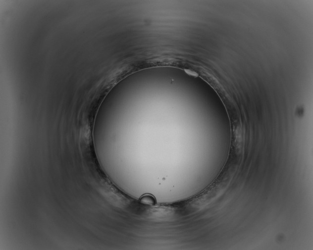 X0000102350617200808081156