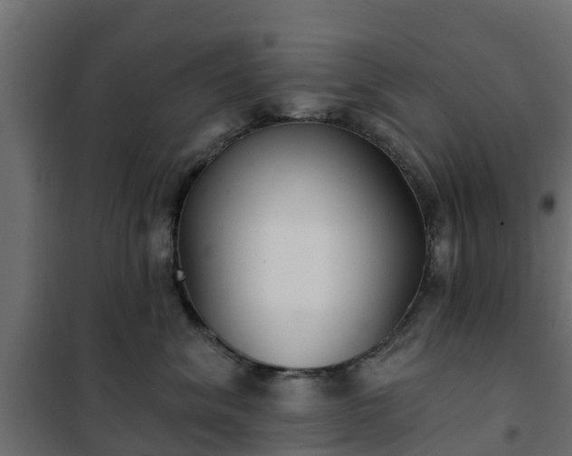 X0000102350620200808081156