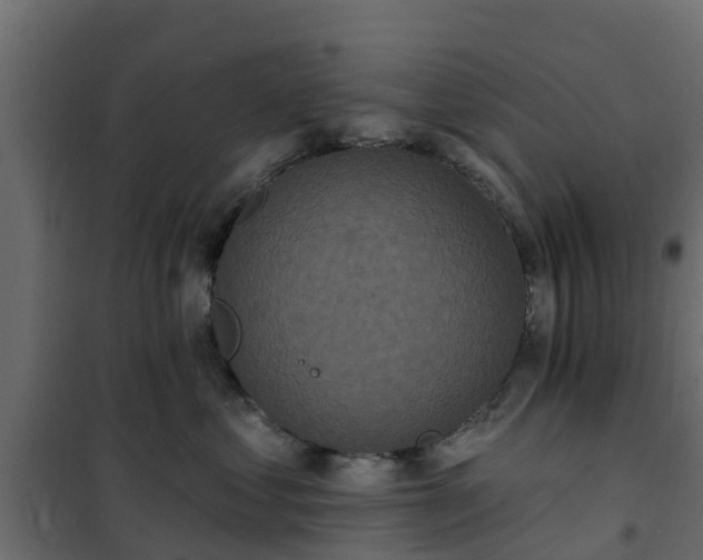 X0000102350621200808081156