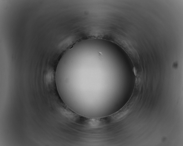 X0000102350623200808081156