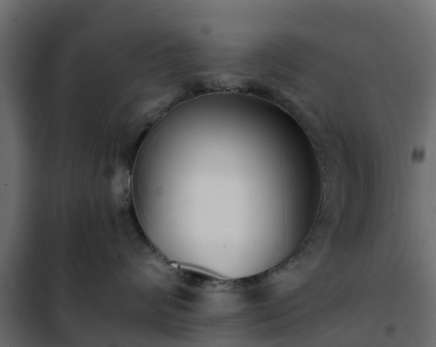 X0000102350624200808081156