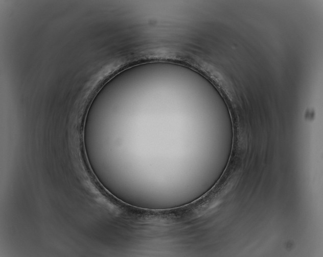 X0000102350625200808081155