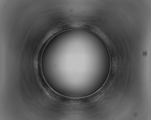 X0000102350626200808081155