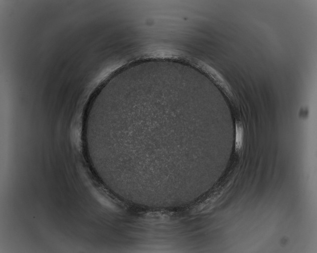 X0000102350627200808081155